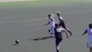 player 19