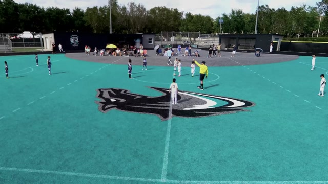 David United Sc 2018 Boys Blue vs West Pines U8 Elite 