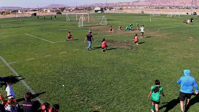 Shamrocks vs Portugal
