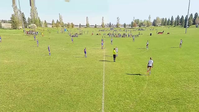 Livingston vs IFFC 2010B Cobalt