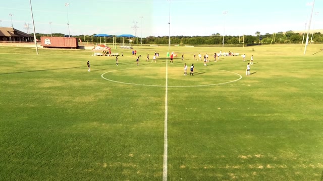 Dallas Cosmos 12G White vs Solar East 12G Hedges