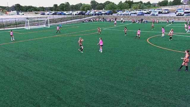 Aledo U12G vs Renegades FC