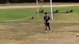 player 99