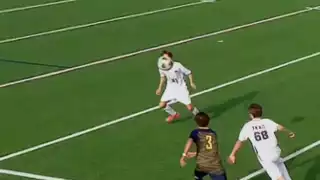 player 31