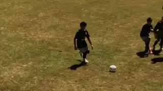player 14
