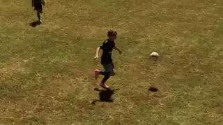 player 21