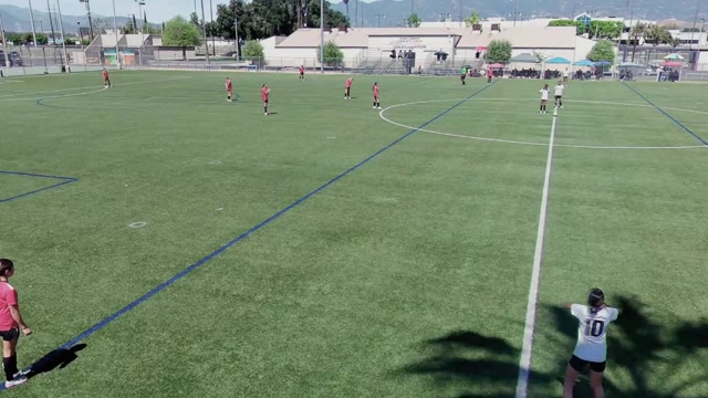 AVSC Storm G2013 Black vs IEFC