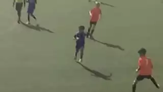 player 21