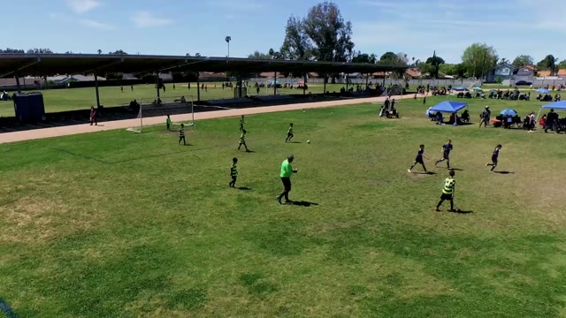 Tornado vs Celtics Europa 