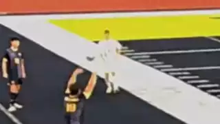 player 21