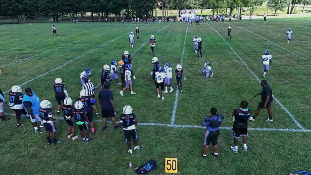 Titan vs Dolphins