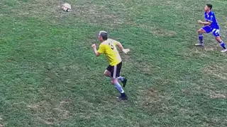 player 31