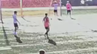 player 9