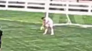 player 6