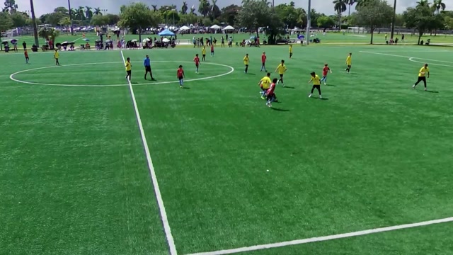 B2014 SOUTH BLAU (25/26) vs 2013 Lions