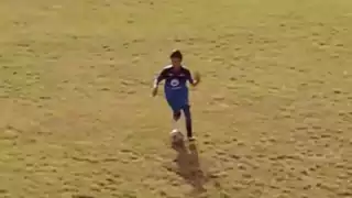 player 43