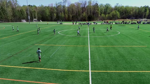 New life 3-29-26 vs Palmetto Havoc Spring 13u