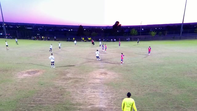 Texas Fire Fc vs Fc Dallas Youth