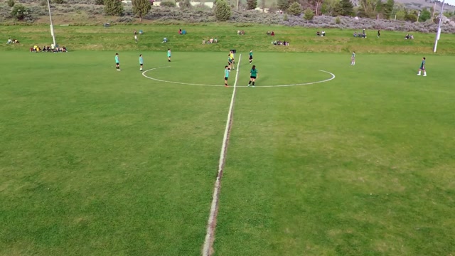 Brixner vs Henley