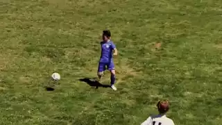 player 46