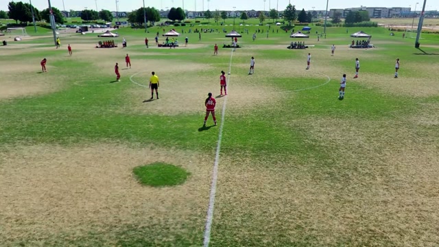 Solar City vs COSC 11G NPL