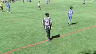 player 21