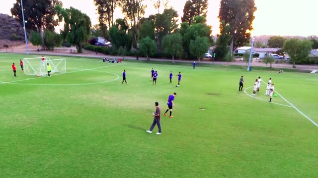 Alebrijes vs Black