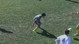 player 24