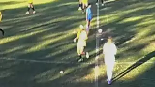 player 24