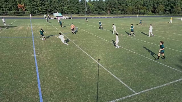 Voyager vs Raptors