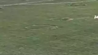 player 5