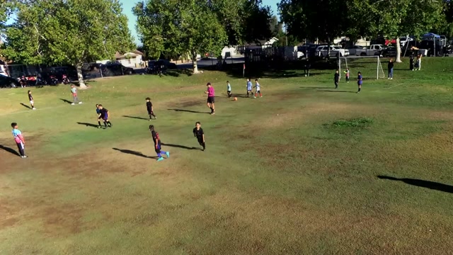 U-8 Warriors DBZ vs Renegades