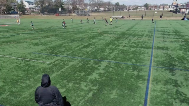 Island Tree vs AUB/FS