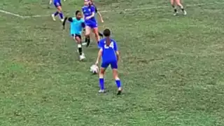 player 24