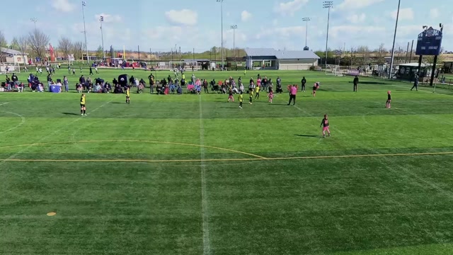 2016 Manta Pink vs 2016G Gold