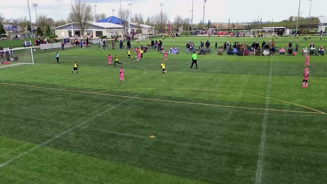 2016 Manta Pink vs 2016G Gold