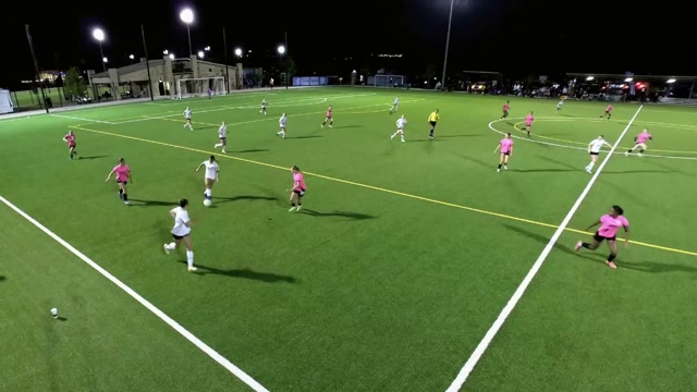 Sting Ecnl Rl NTX 11G vs 2011G Elite NPL/FPL