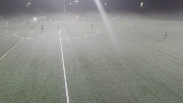 Velocity DPL 2010 vs 10 DPL