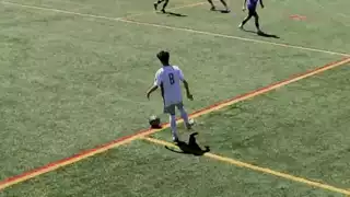 player 8
