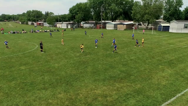 Laville vs Argos 5/6 Girls