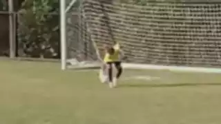 player 40
