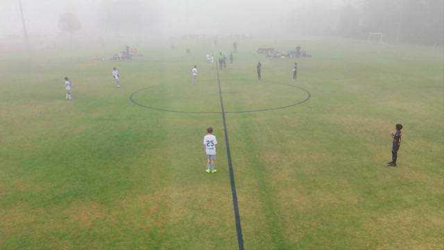 2014 Premier 2 West vs Dynamo Gold 14