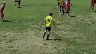 player 31