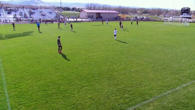 Newcastle vs Buffalo Bison