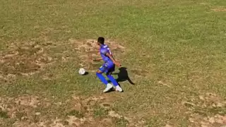 player 7