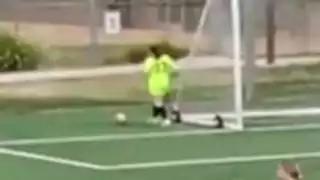 player 14