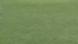 player 95