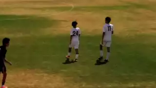 player 24