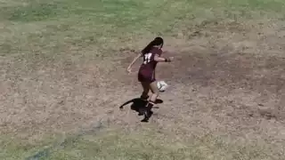 player 11