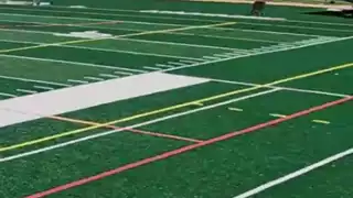 player 16